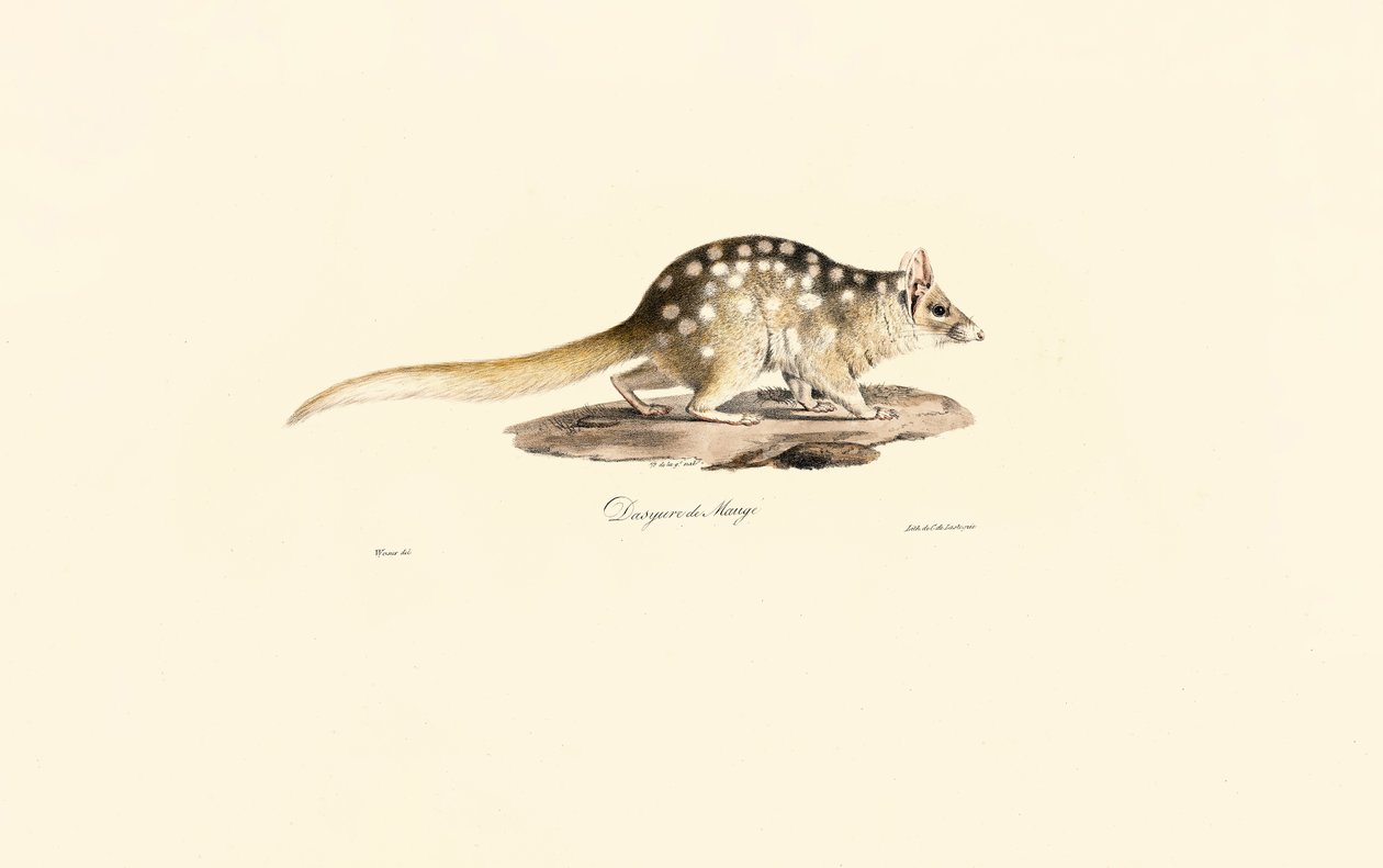 de Jacques Christophe Werner