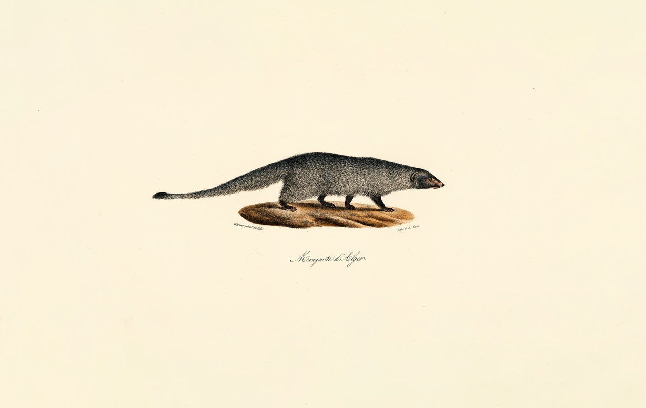  de Jacques Christophe Werner