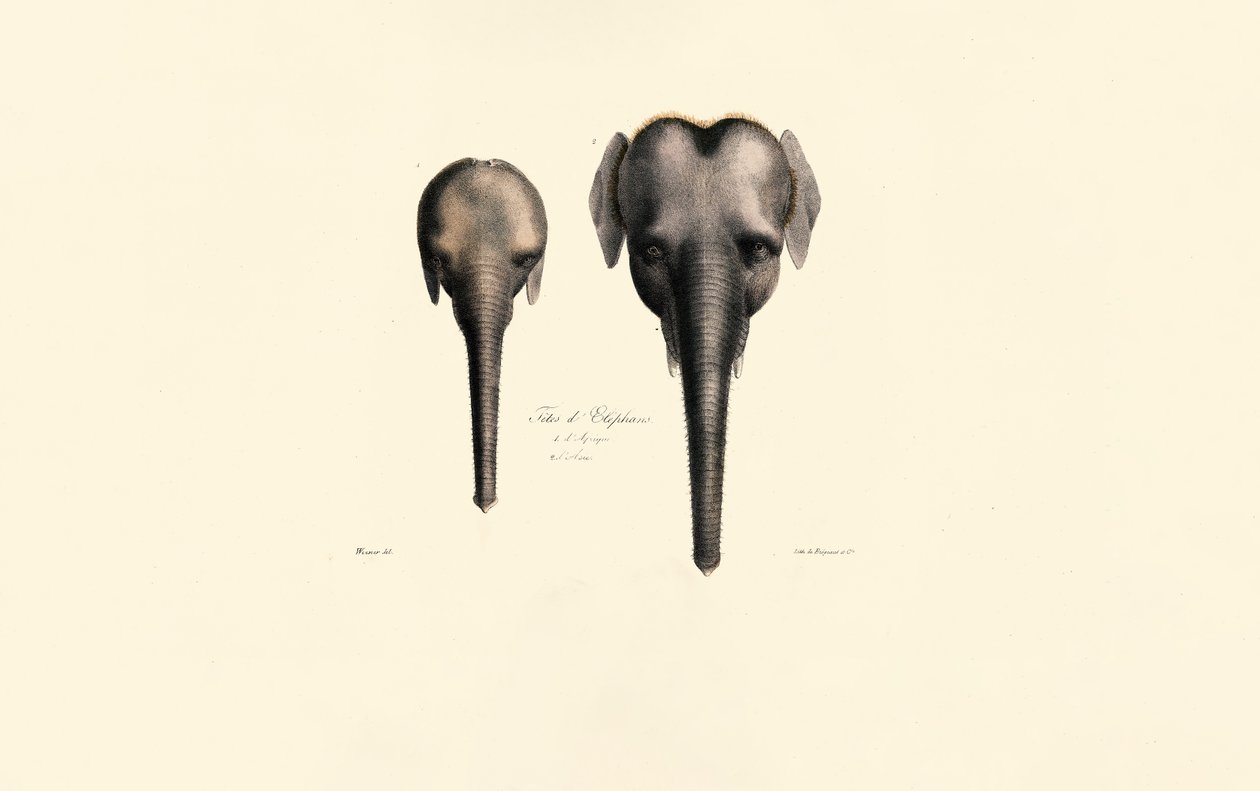 de Jacques Christophe Werner