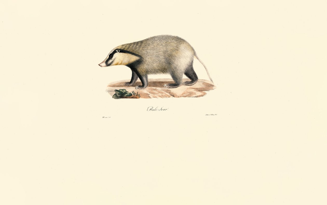  de Jacques Christophe Werner
