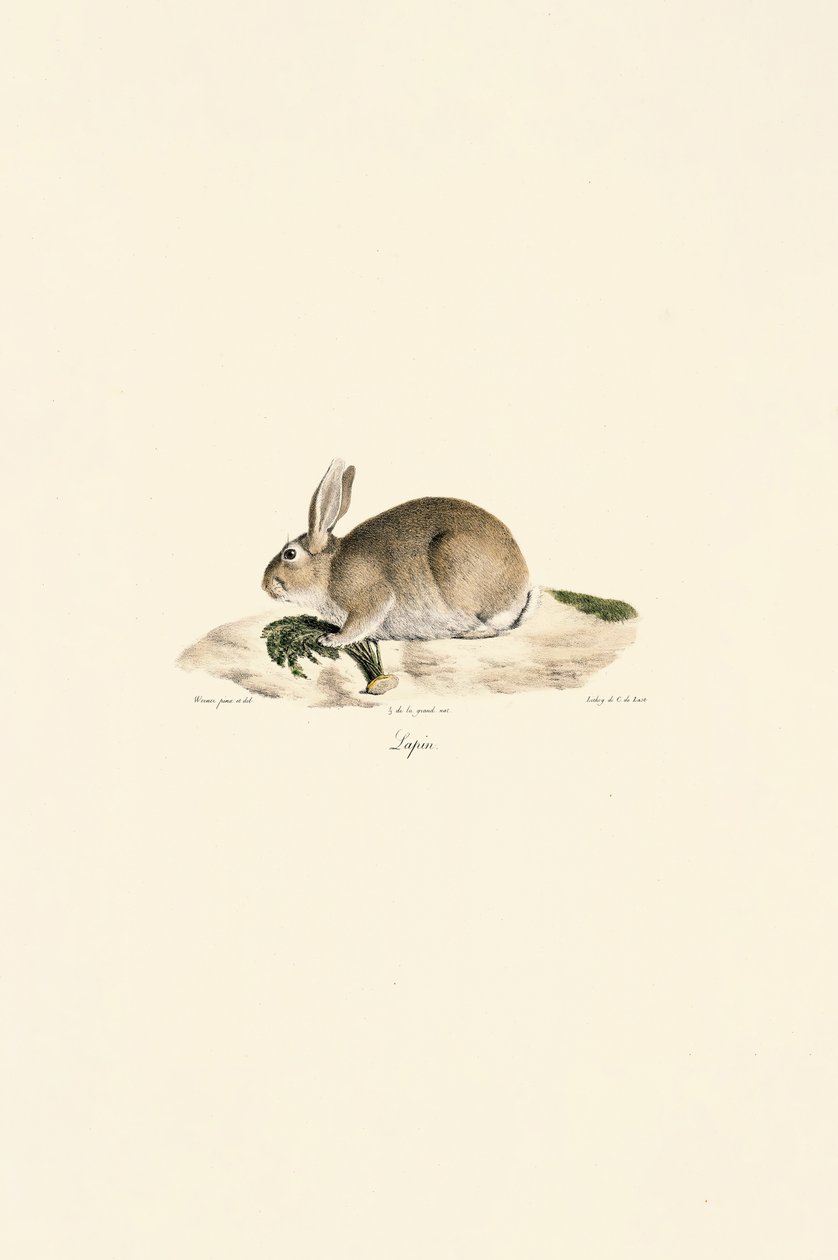  de Jacques Christophe Werner
