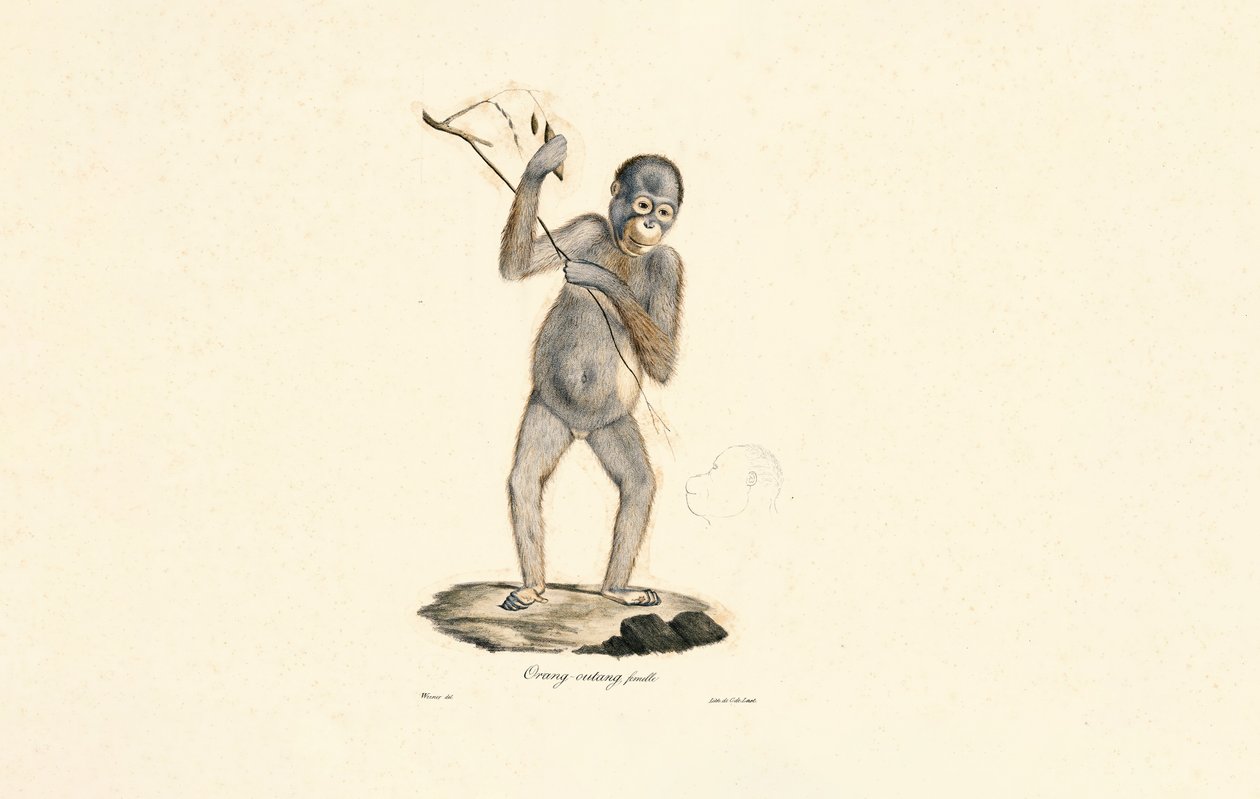  de Jacques Christophe Werner