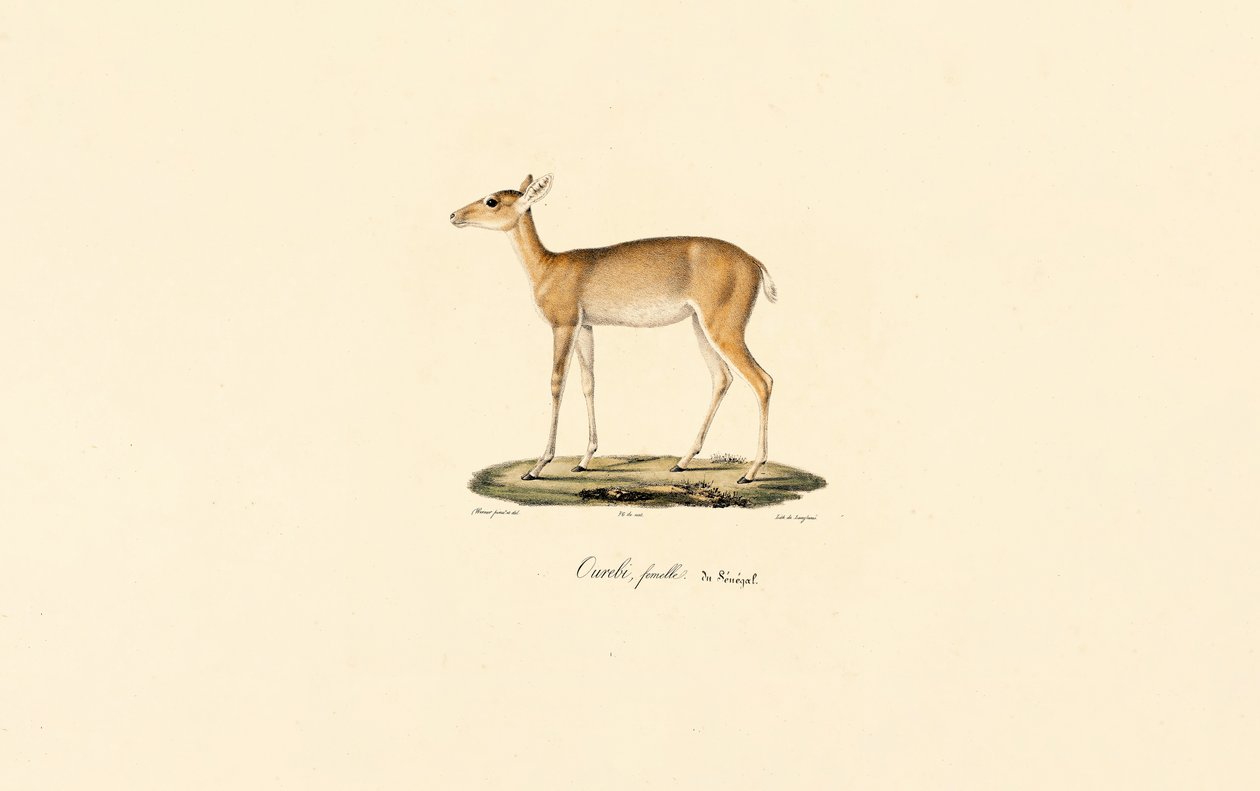  de Jacques Christophe Werner