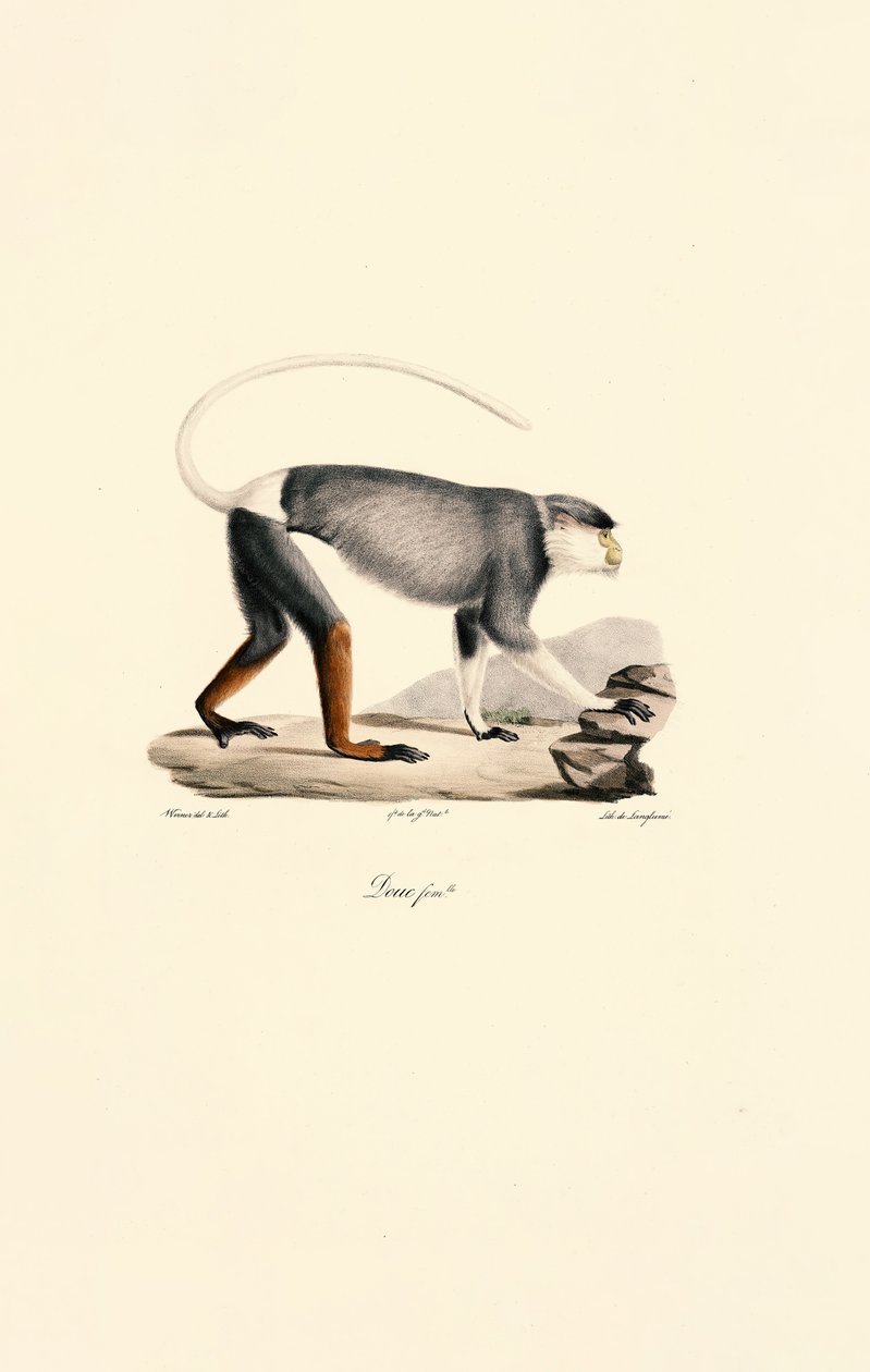  de Jacques Christophe Werner