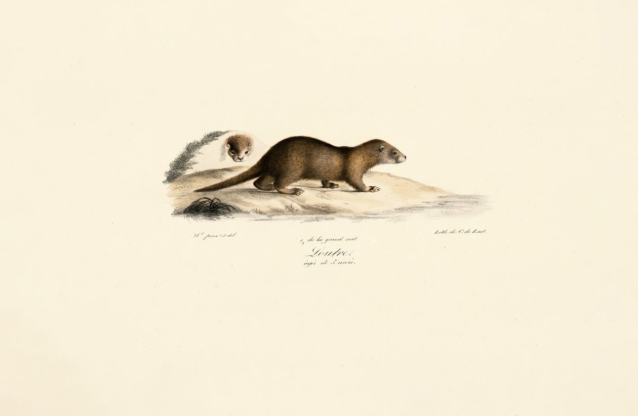  de Jacques Christophe Werner