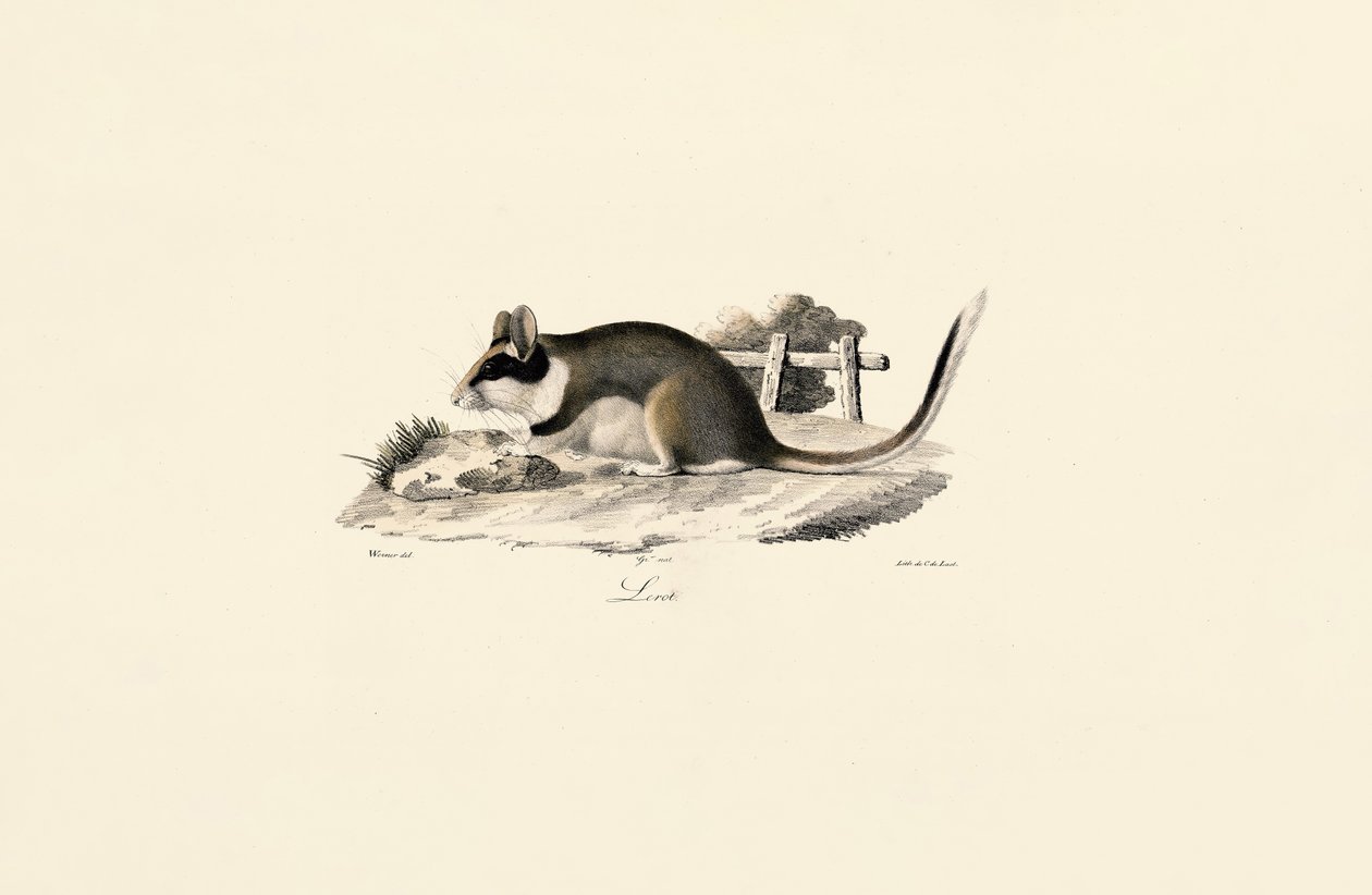  de Jacques Christophe Werner