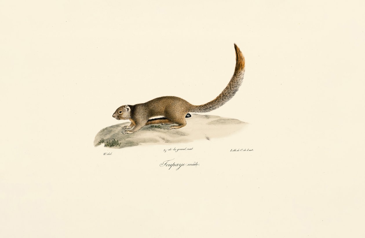  de Jacques Christophe Werner