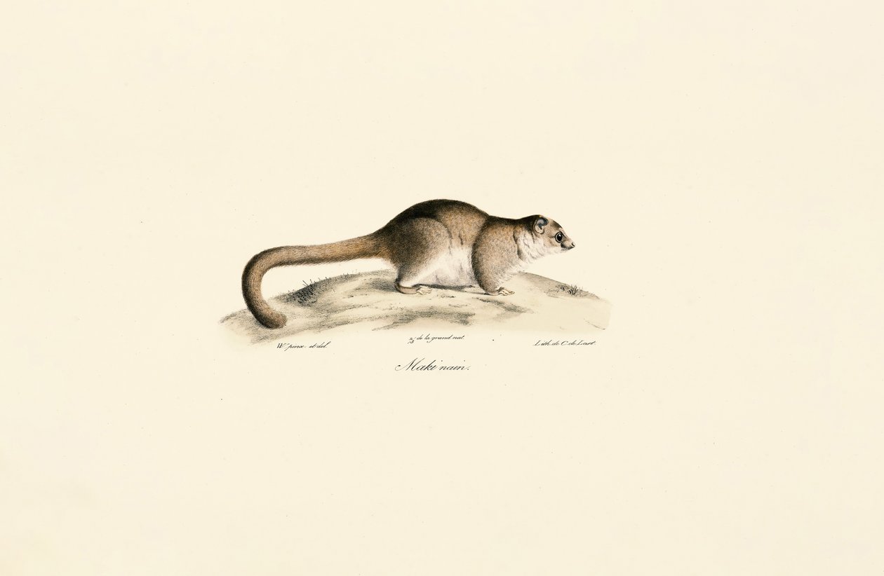  de Jacques Christophe Werner