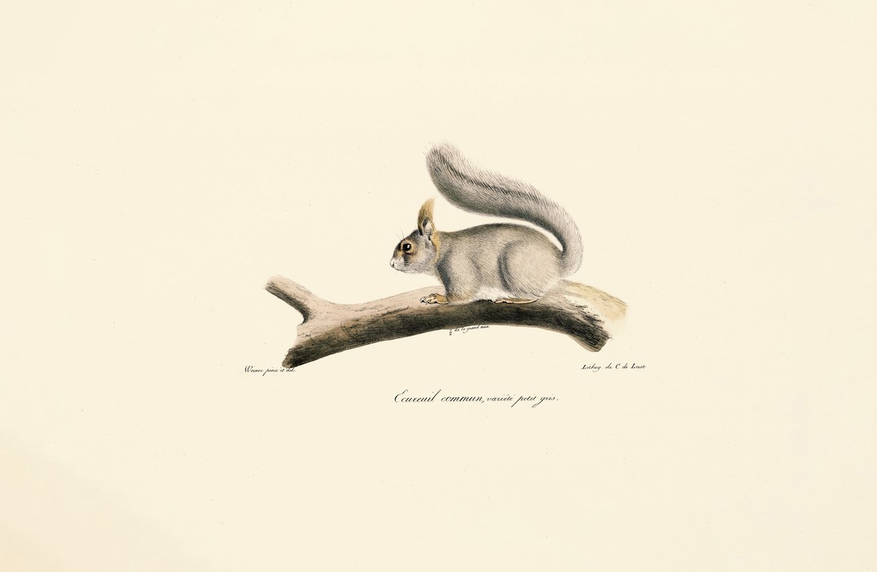  de Jacques Christophe Werner