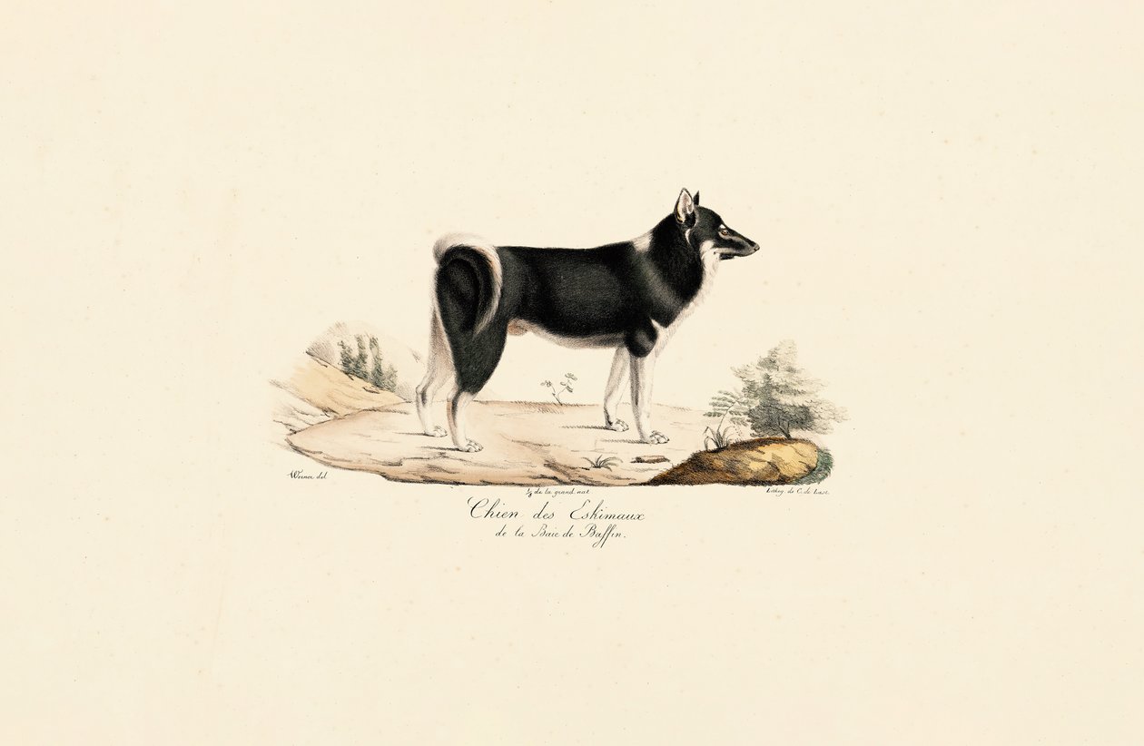  de Jacques Christophe Werner
