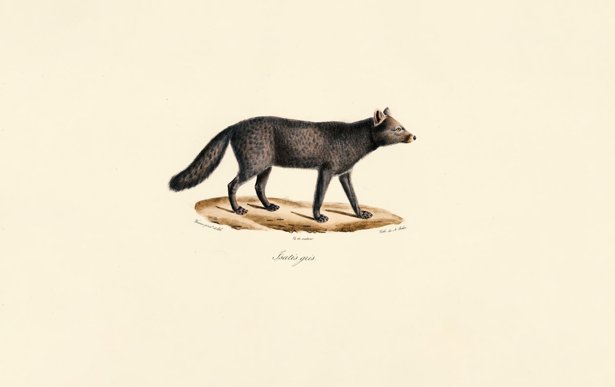  de Jacques Christophe Werner