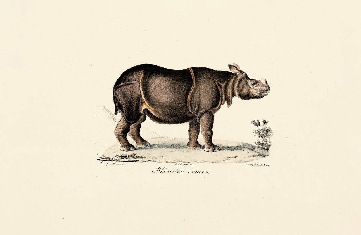  de Jacques Christophe Werner