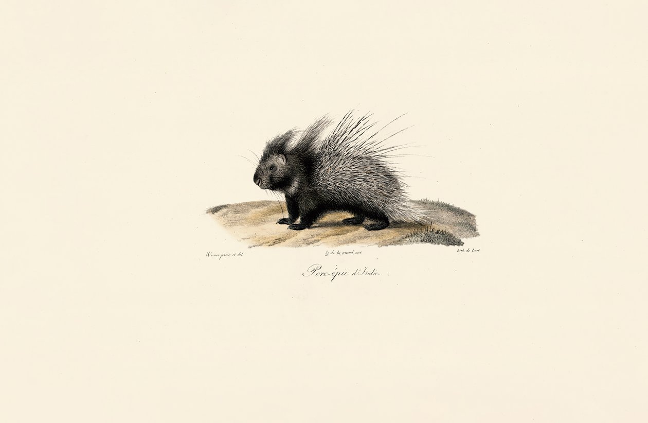  de Jacques Christophe Werner