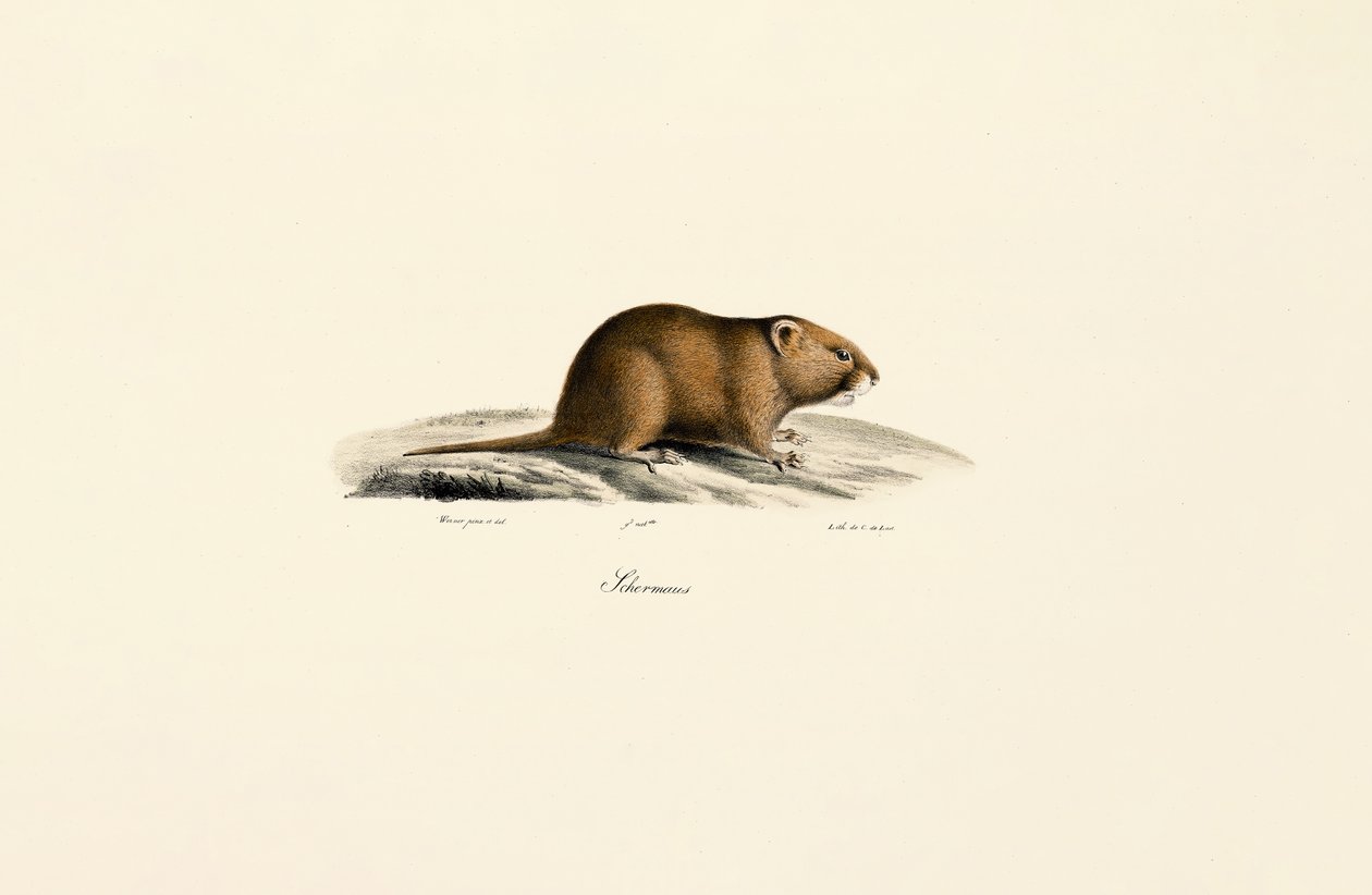  de Jacques Christophe Werner