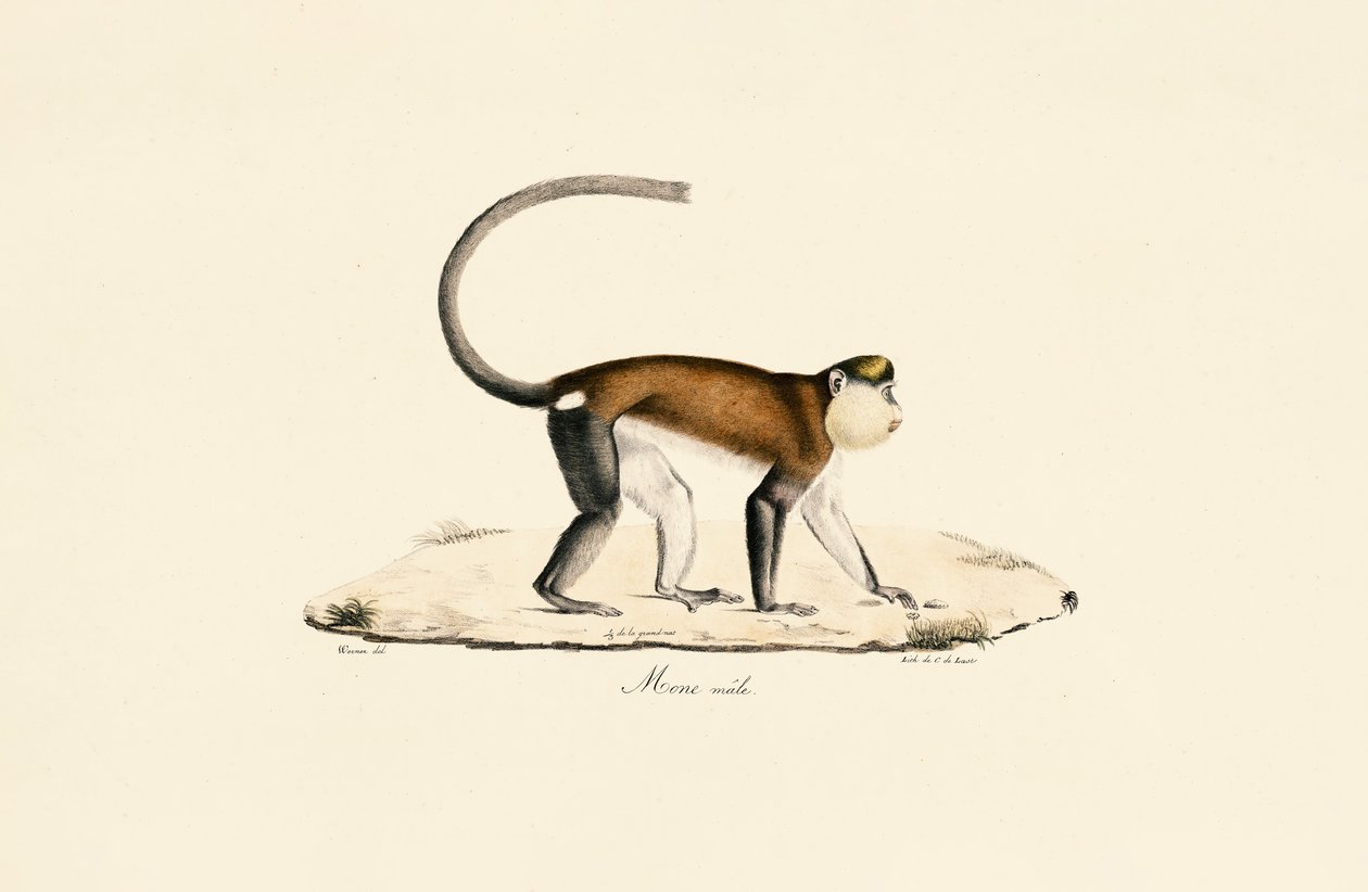  de Jacques Christophe Werner