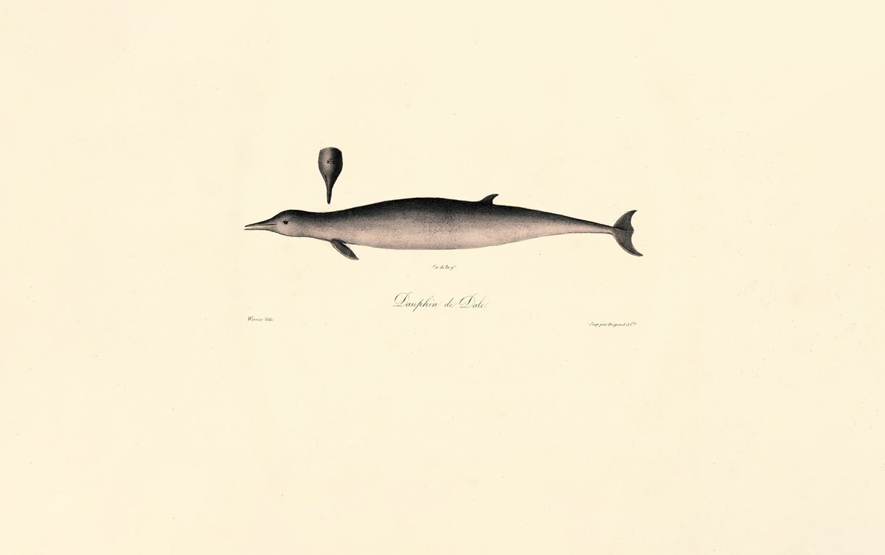  de Jacques Christophe Werner