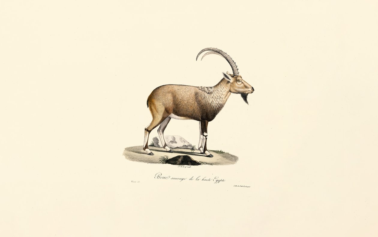  de Jacques Christophe Werner