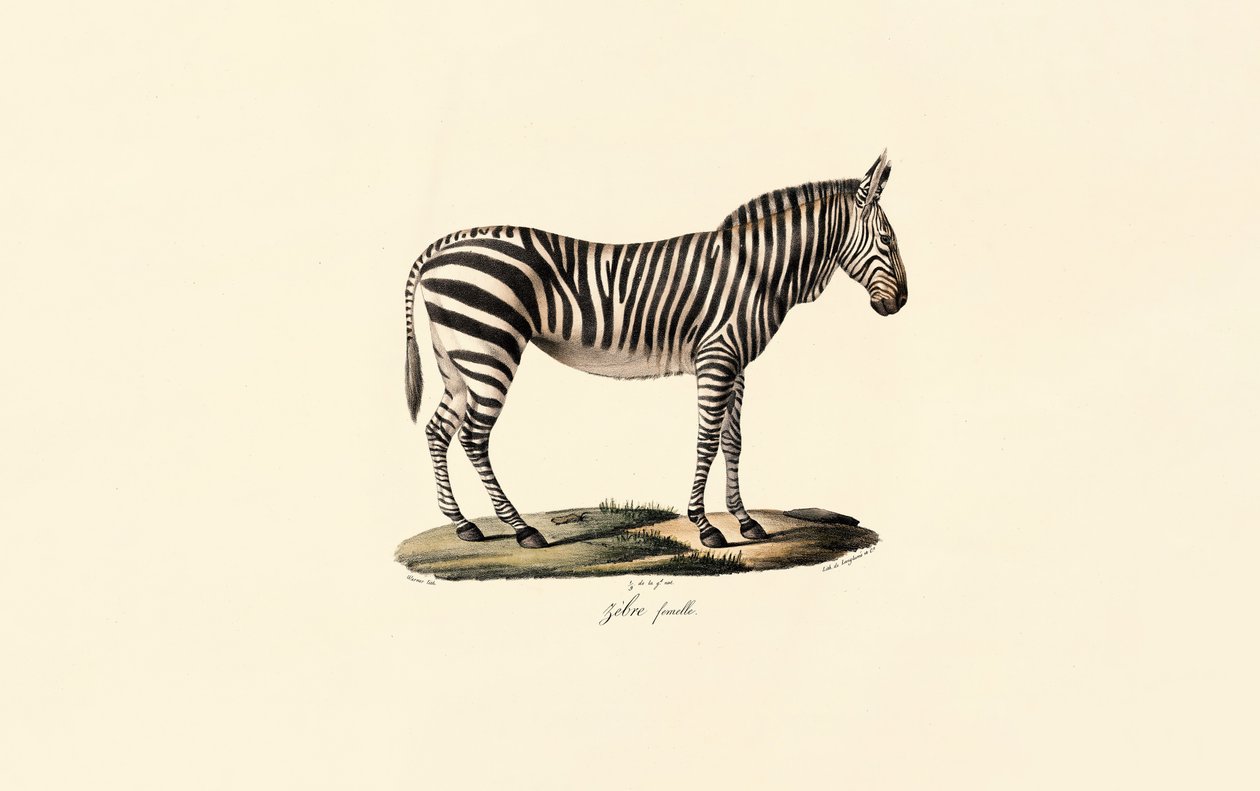  de Jacques Christophe Werner