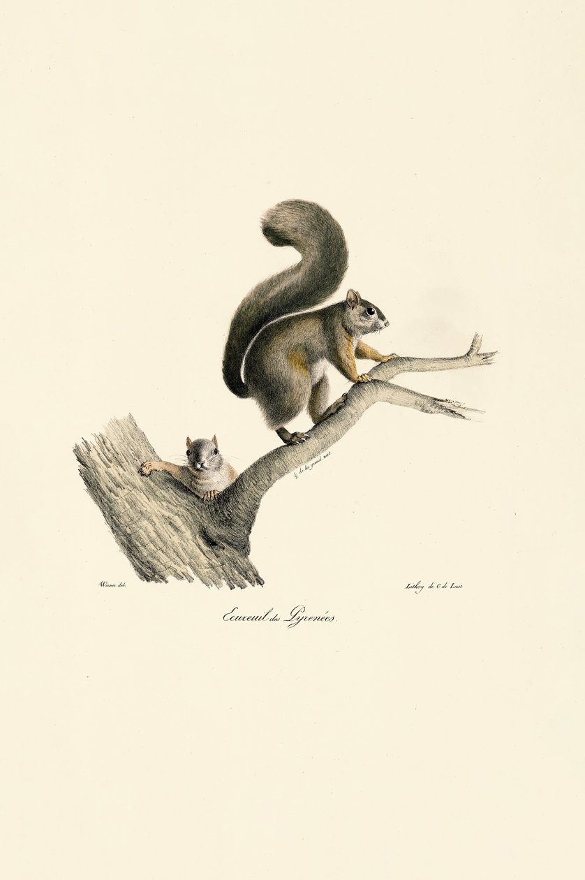 de Jacques Christophe Werner