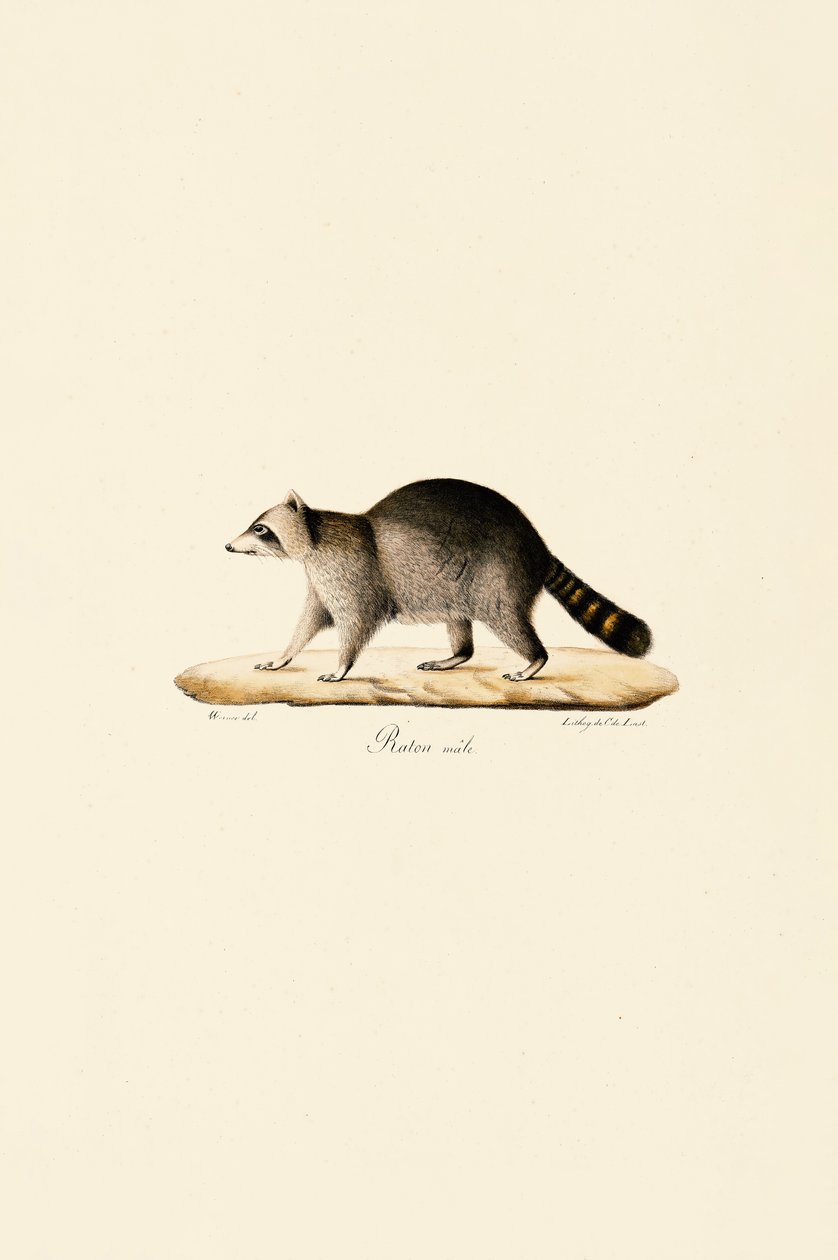  de Jacques Christophe Werner