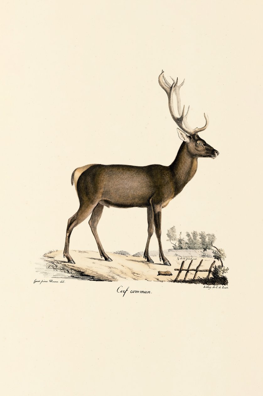  de Jacques Christophe Werner