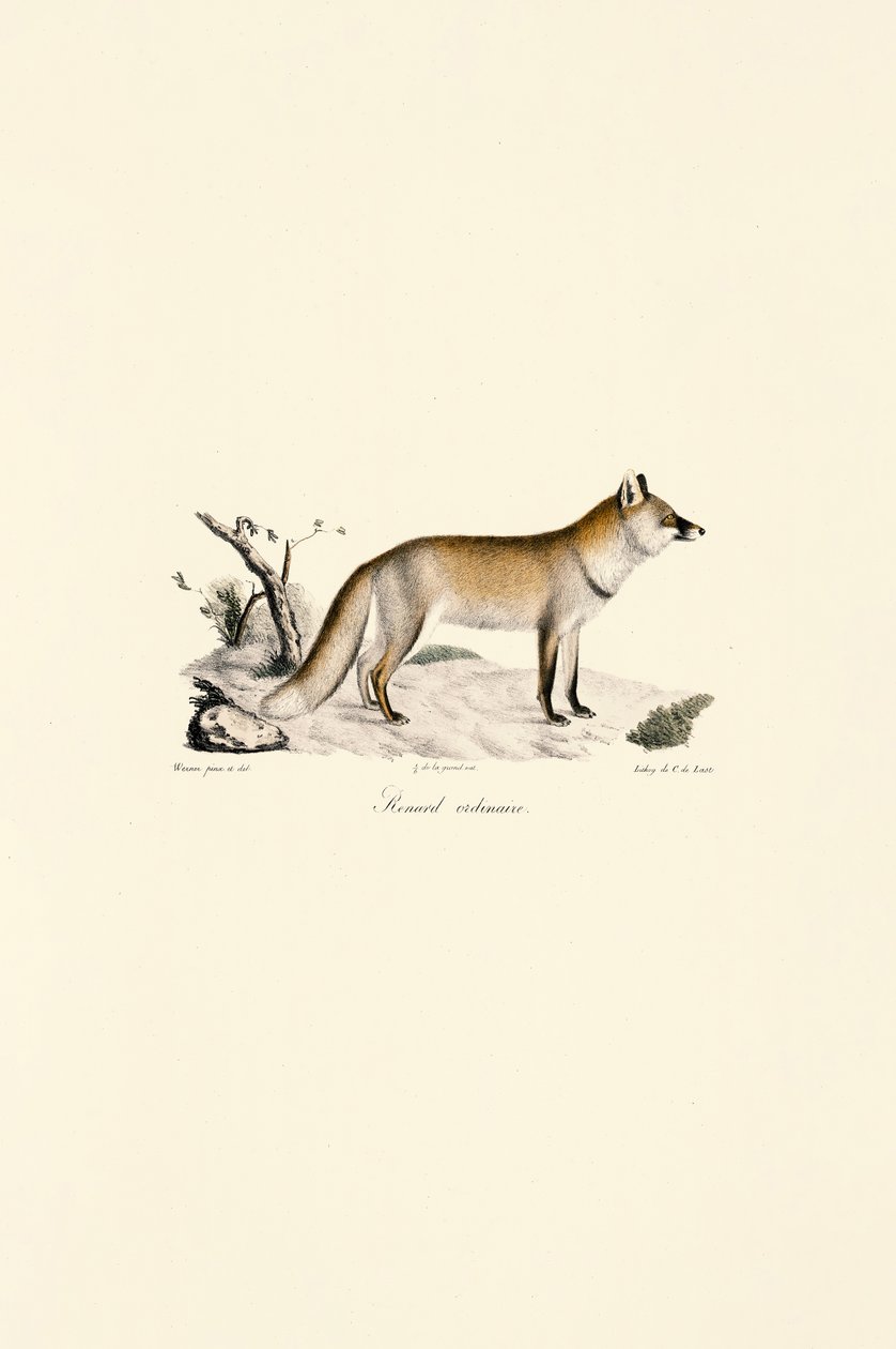  de Jacques Christophe Werner