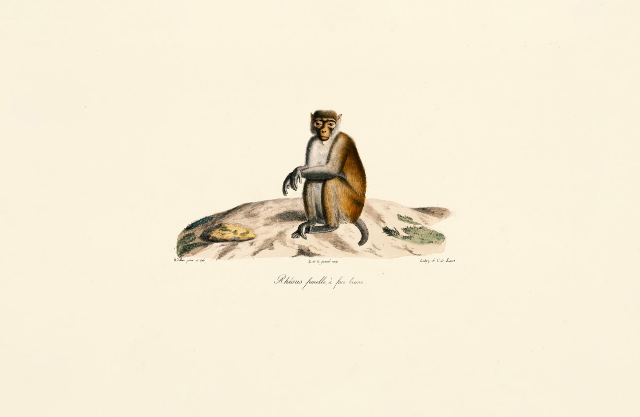  de Jacques Christophe Werner
