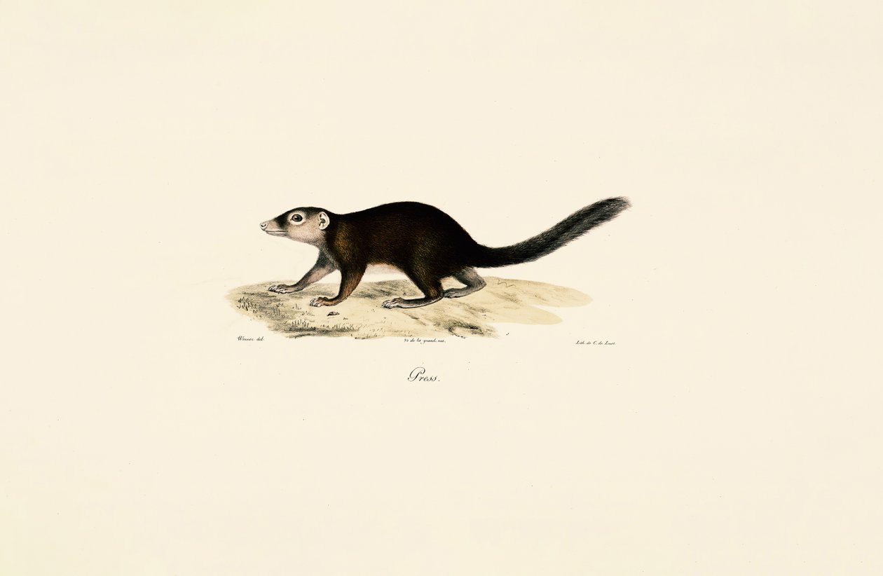  de Jacques Christophe Werner