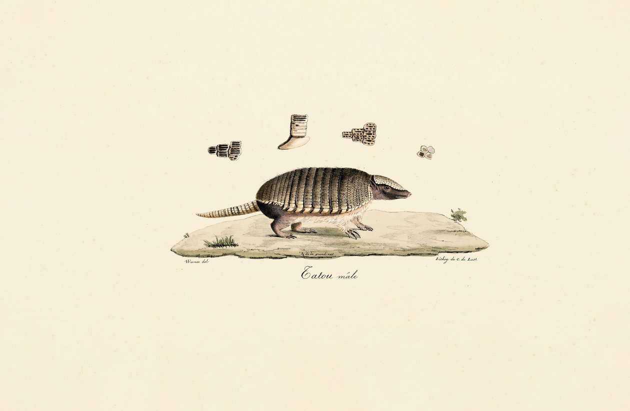  de Jacques Christophe Werner