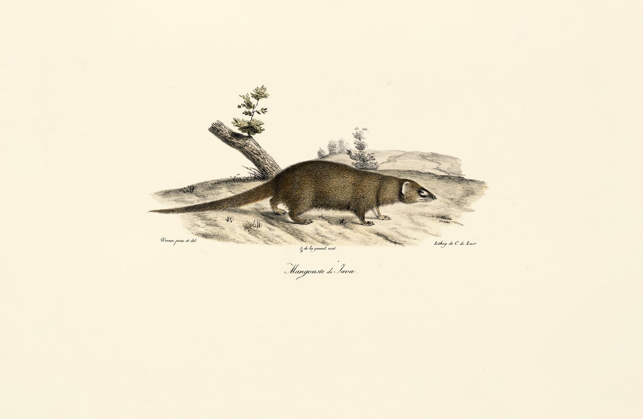  de Jacques Christophe Werner