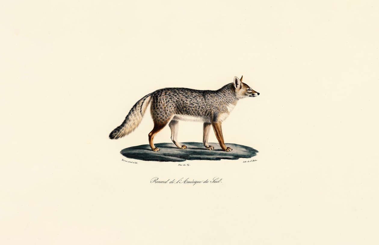  de Jacques Christophe Werner