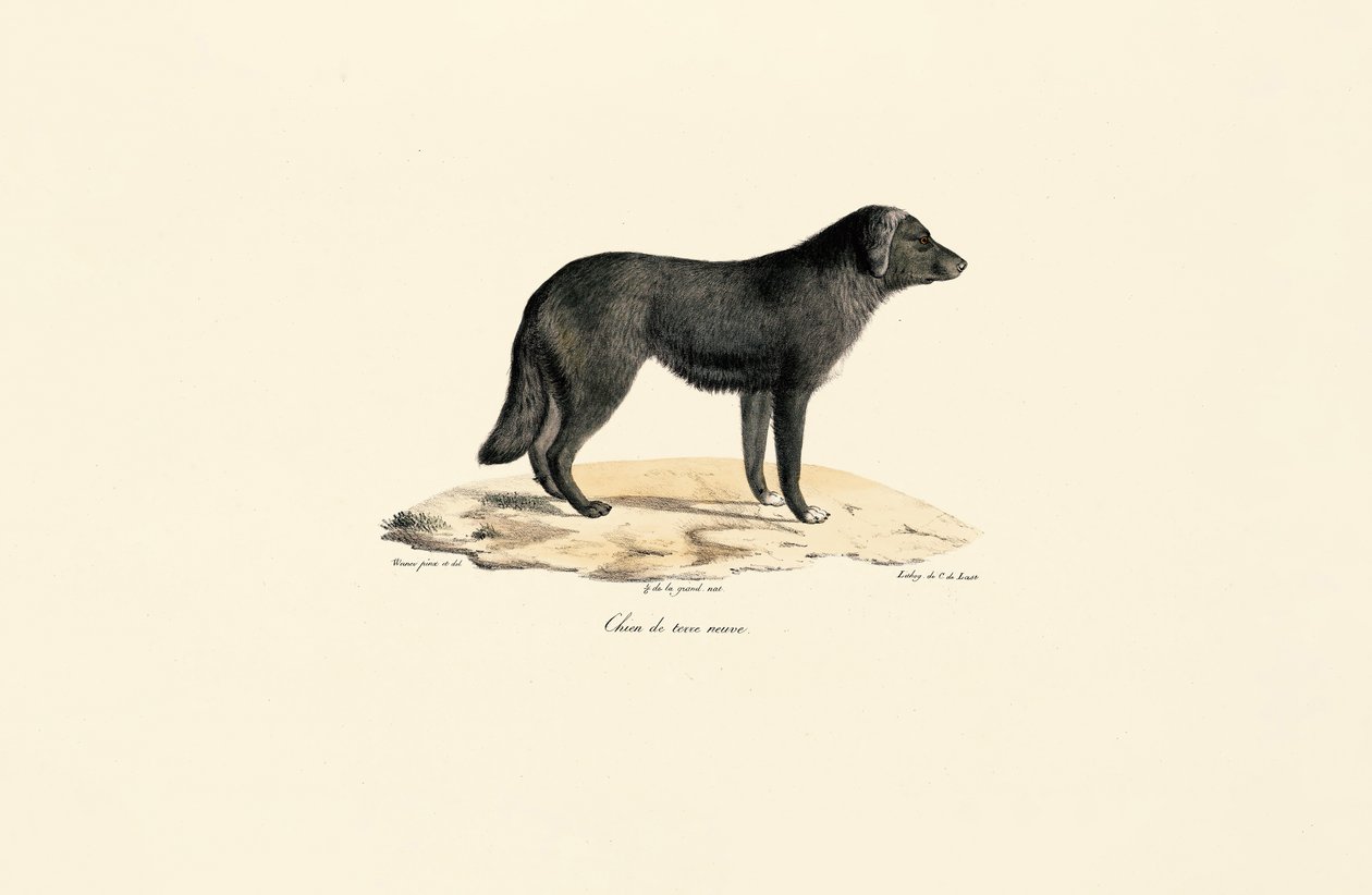  de Jacques Christophe Werner