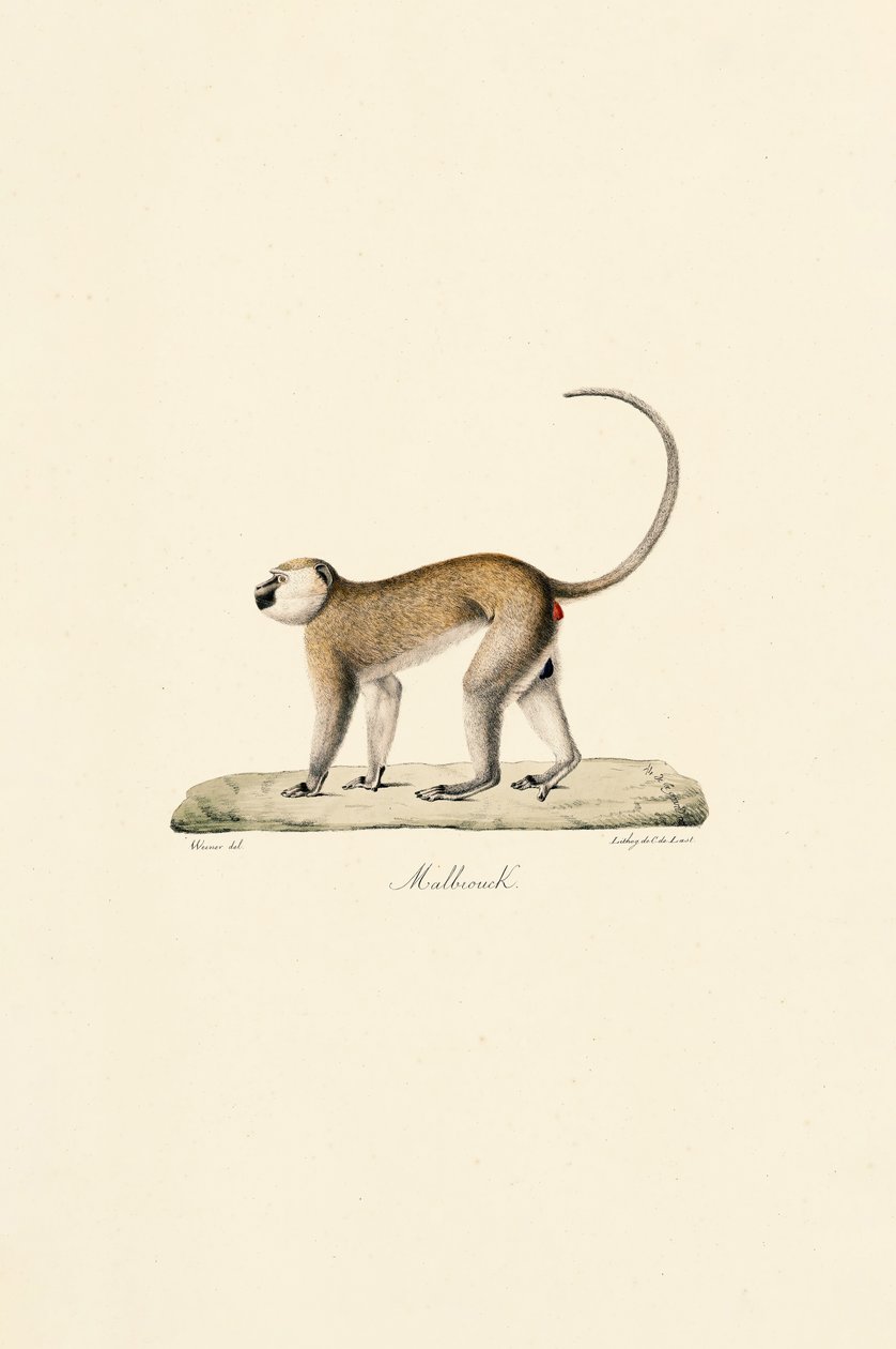  de Jacques Christophe Werner