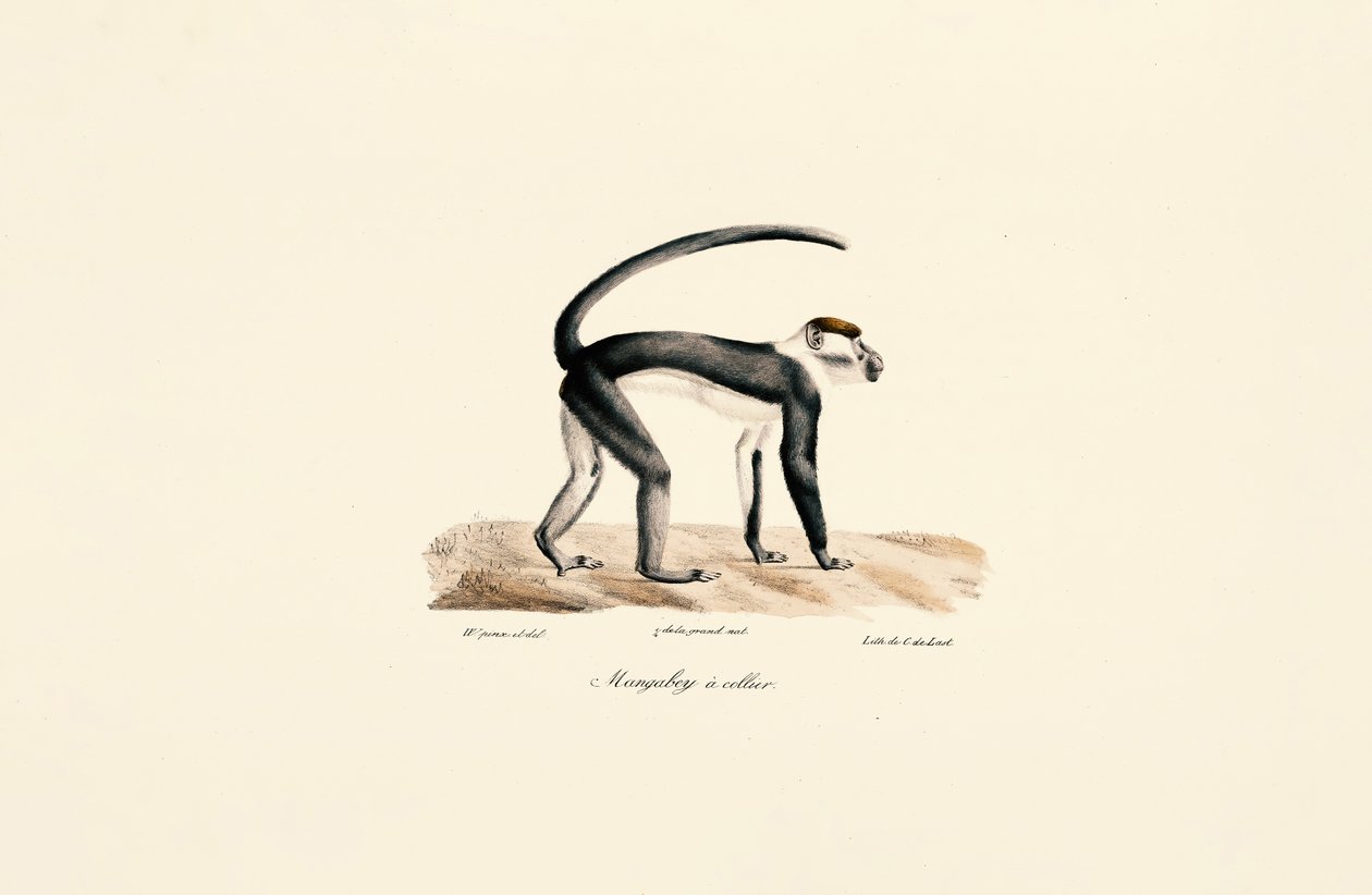  de Jacques Christophe Werner