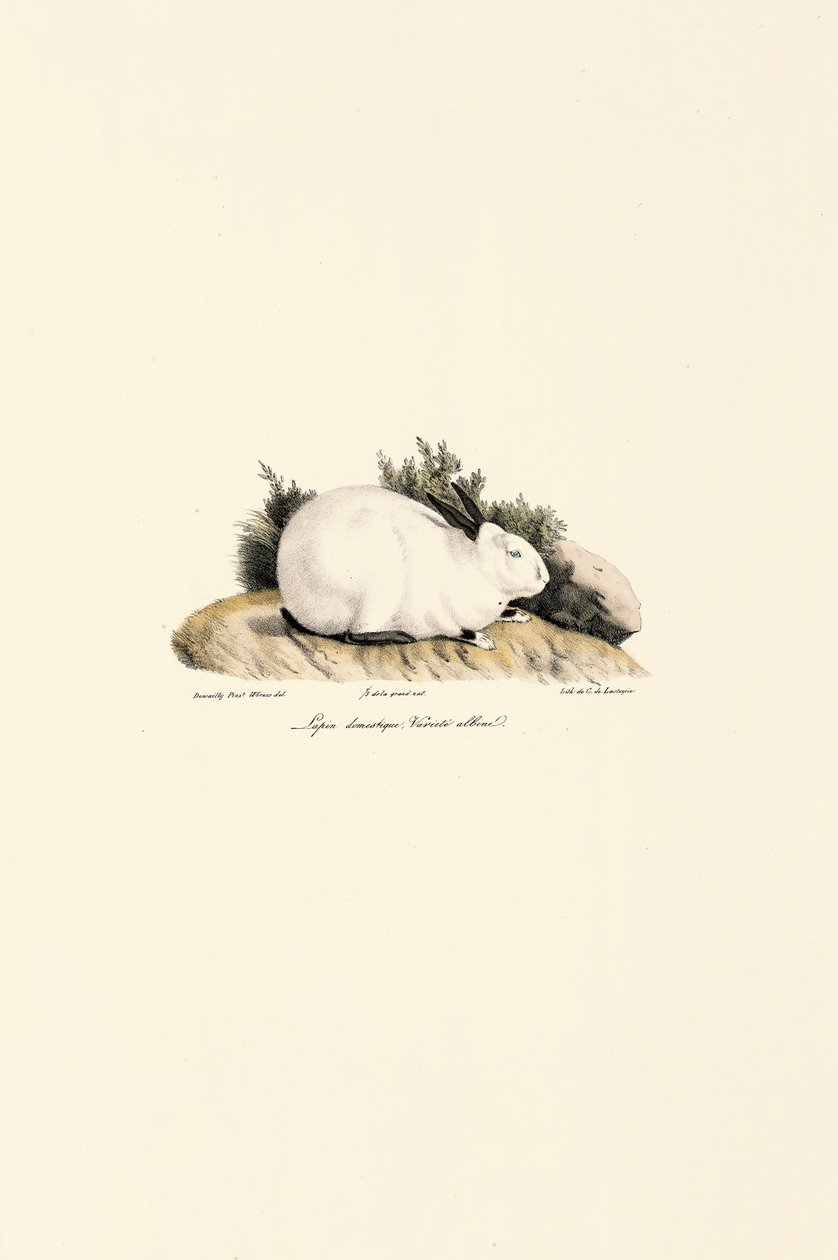  de Jacques Christophe Werner