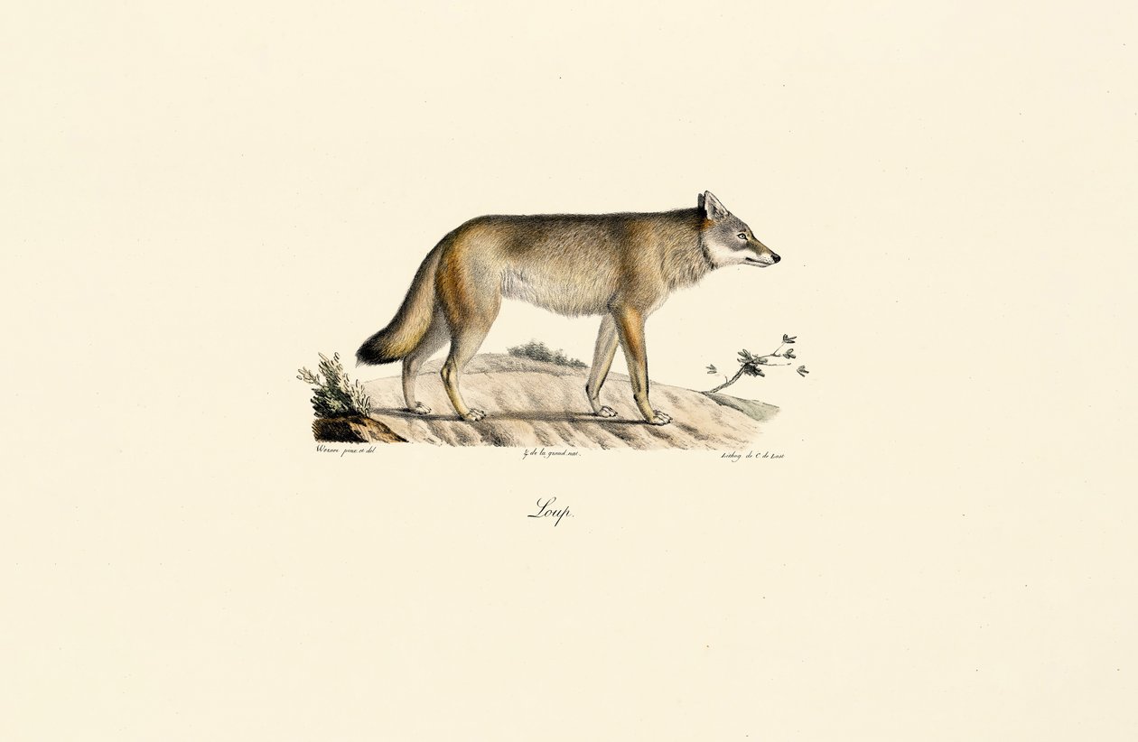  de Jacques Christophe Werner