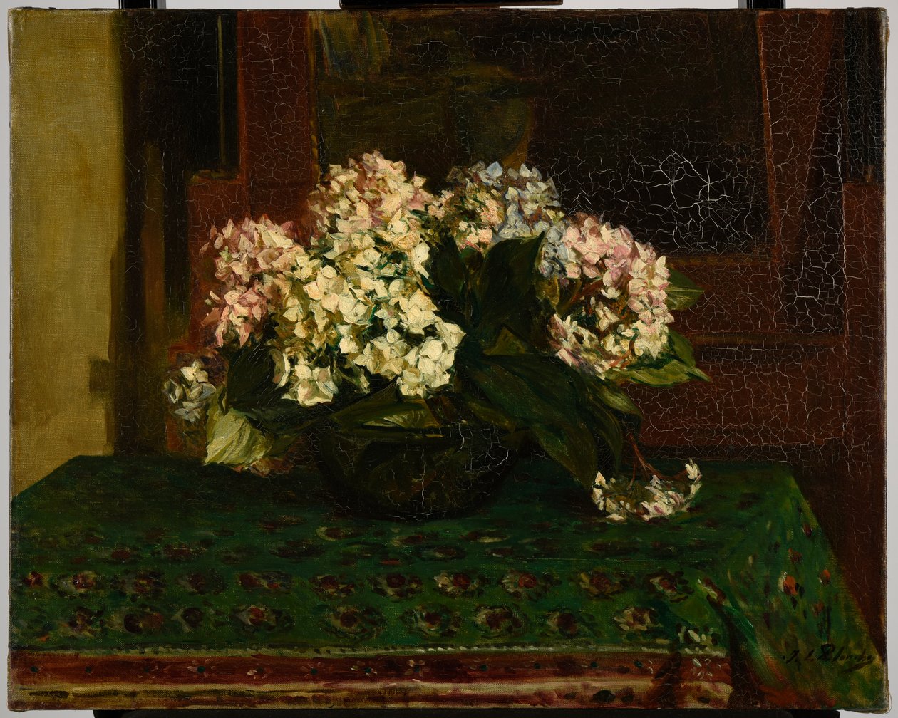 Hortensias (clima cálido) de Jacques Emile Blanche