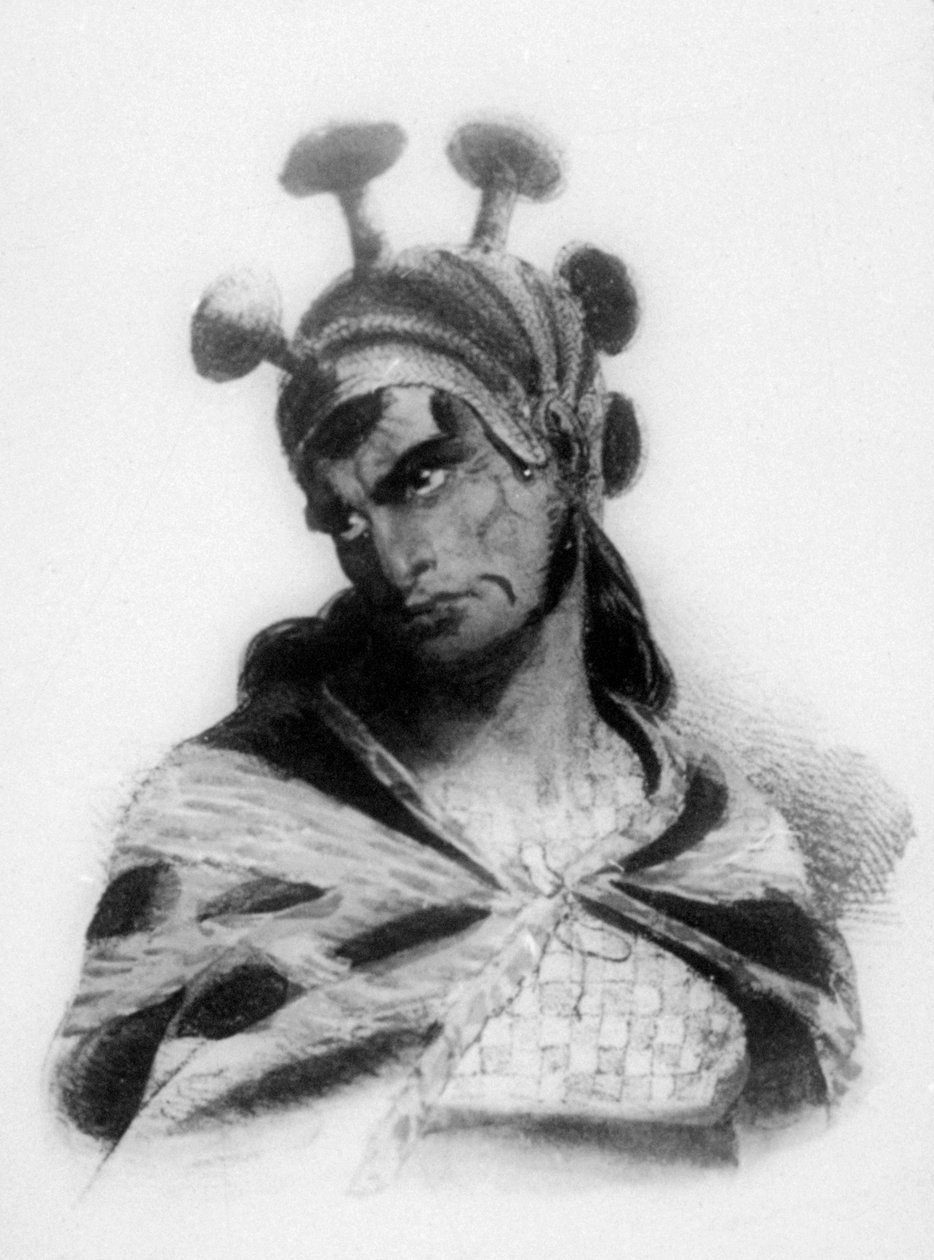 Guerrero hawaiano con casco adornado con una cresta de hongo, 1819 de Jacques Etienne Victor Arago