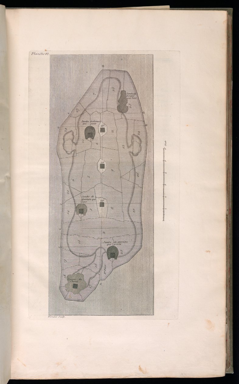 Impresión encuadernada (Francia) de Jacques François Blondel