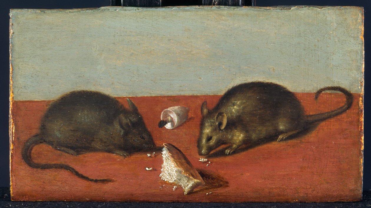 Ratones, c.1600 (óleo sobre madera de roble) de Jacques II de Gheyn