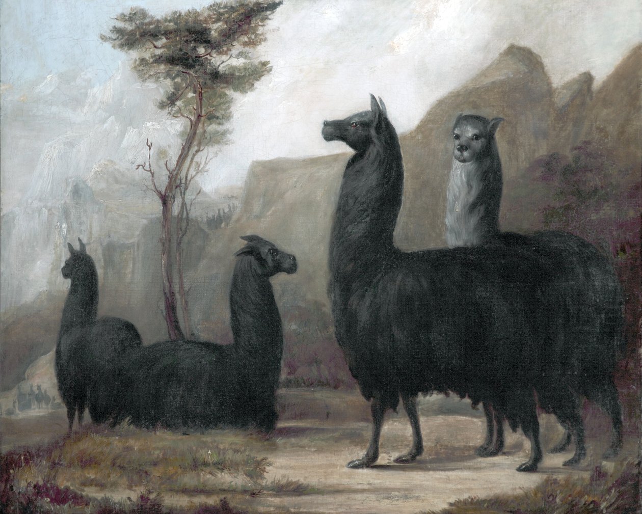 Alpacas de Jacques-Laurent Agasse