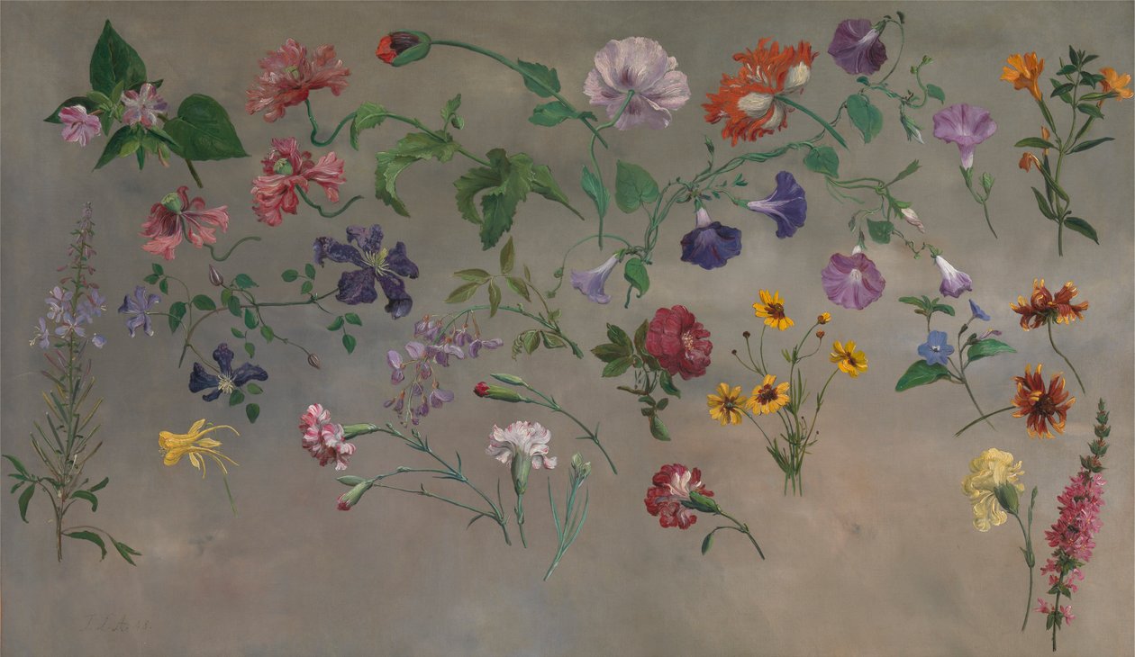 Estudios de flores [1985, Cormack, Catálogo conciso YCBA]. de Jacques Laurent Agasse