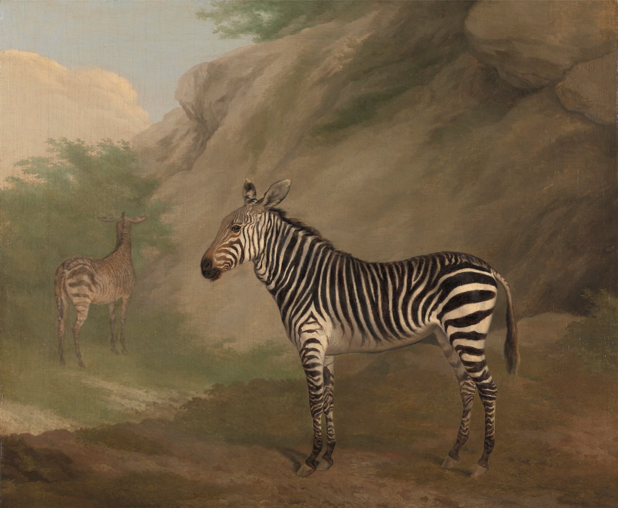Cebra de Jacques Laurent Agasse