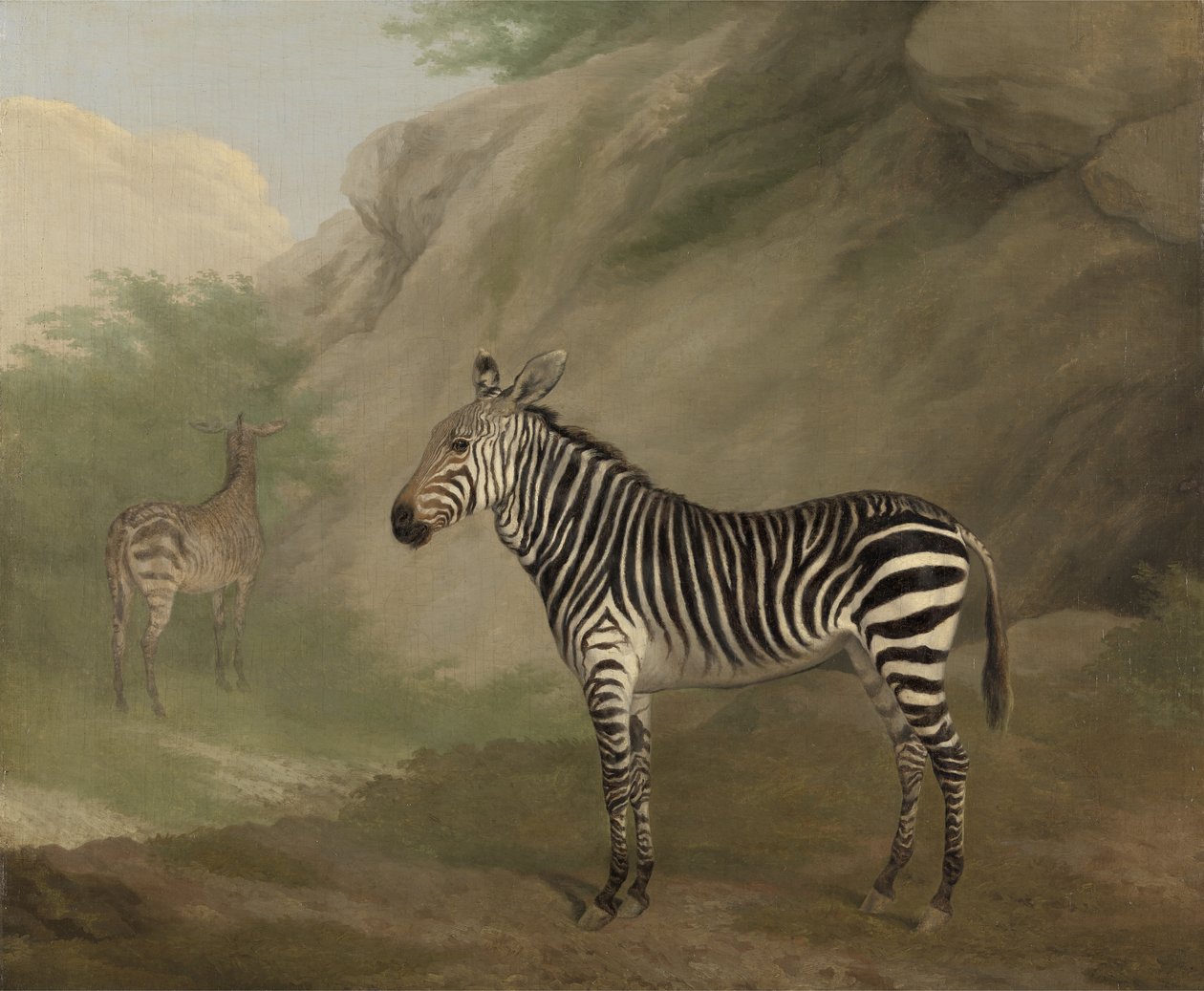 Cebra de Jacques Laurent Agasse