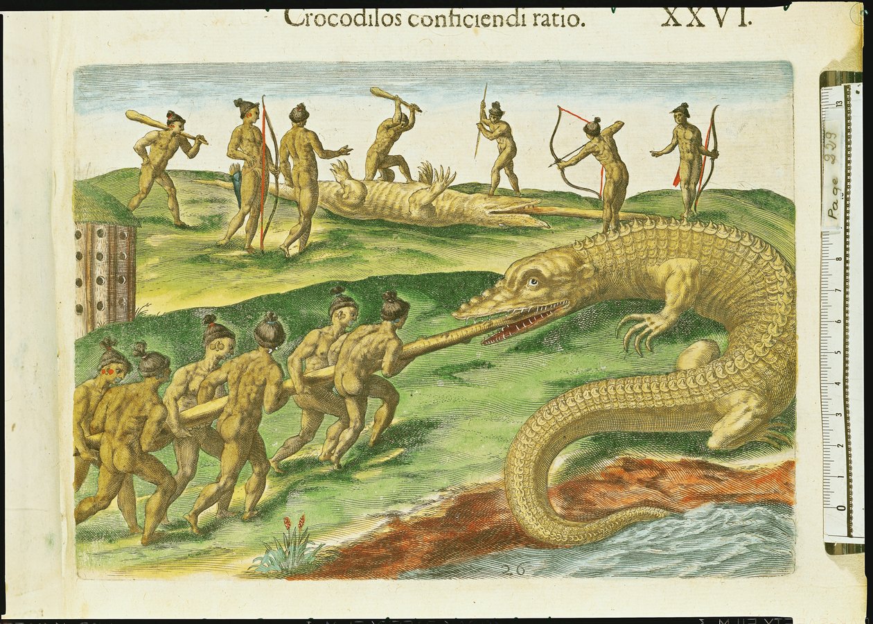 Cazando cocodrilos, de 
