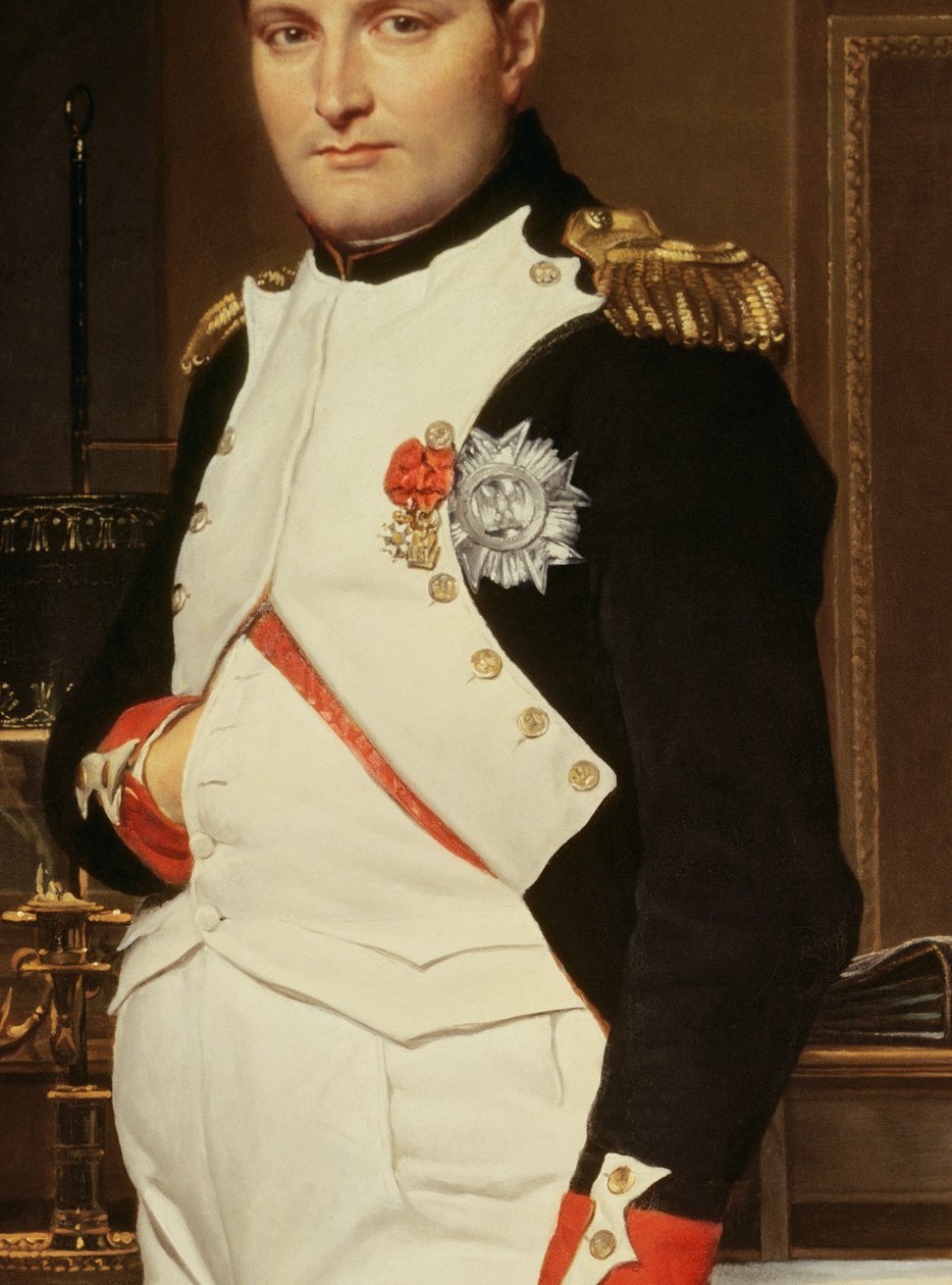 Detalle de El emperador Napoleón en su estudio de las Tullerías de Jacques Louis David