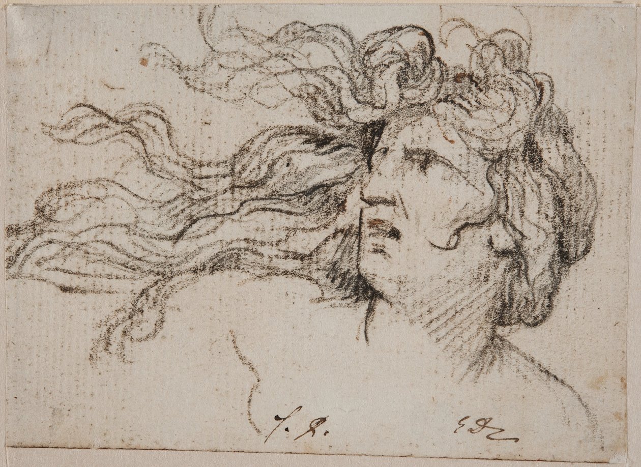 Cabeza de mujer con cabello al viento de Jacques Louis David