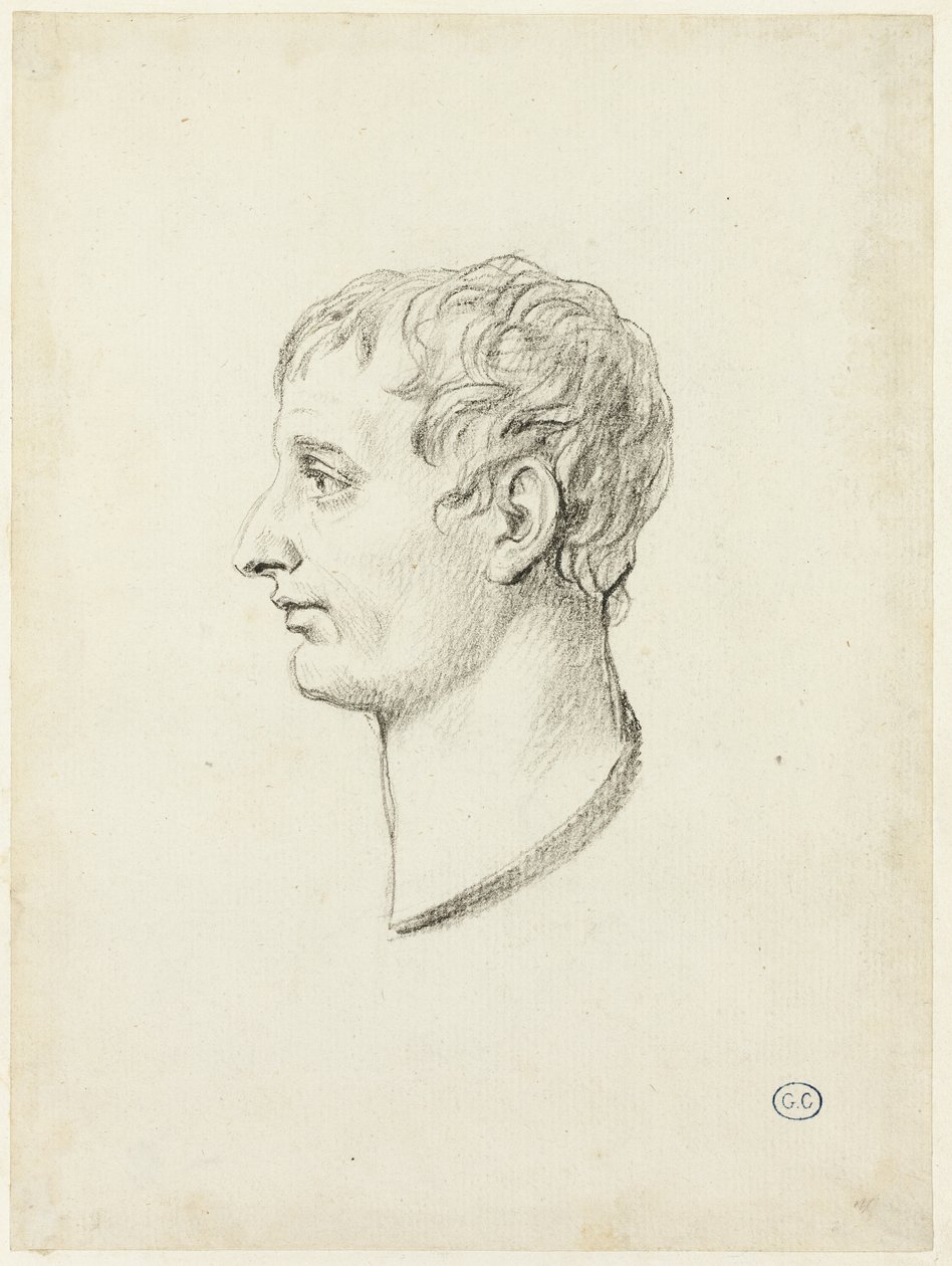 Perfil de Napoleón de Jacques Louis David