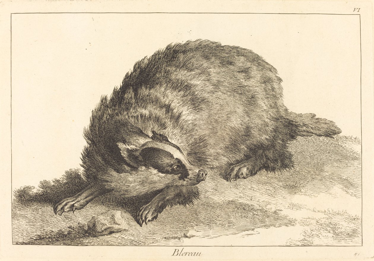 Blereau (Tejón) de Jacques Philippe Le Bas and Jean Eric Rehn after Jean Baptiste Oudry