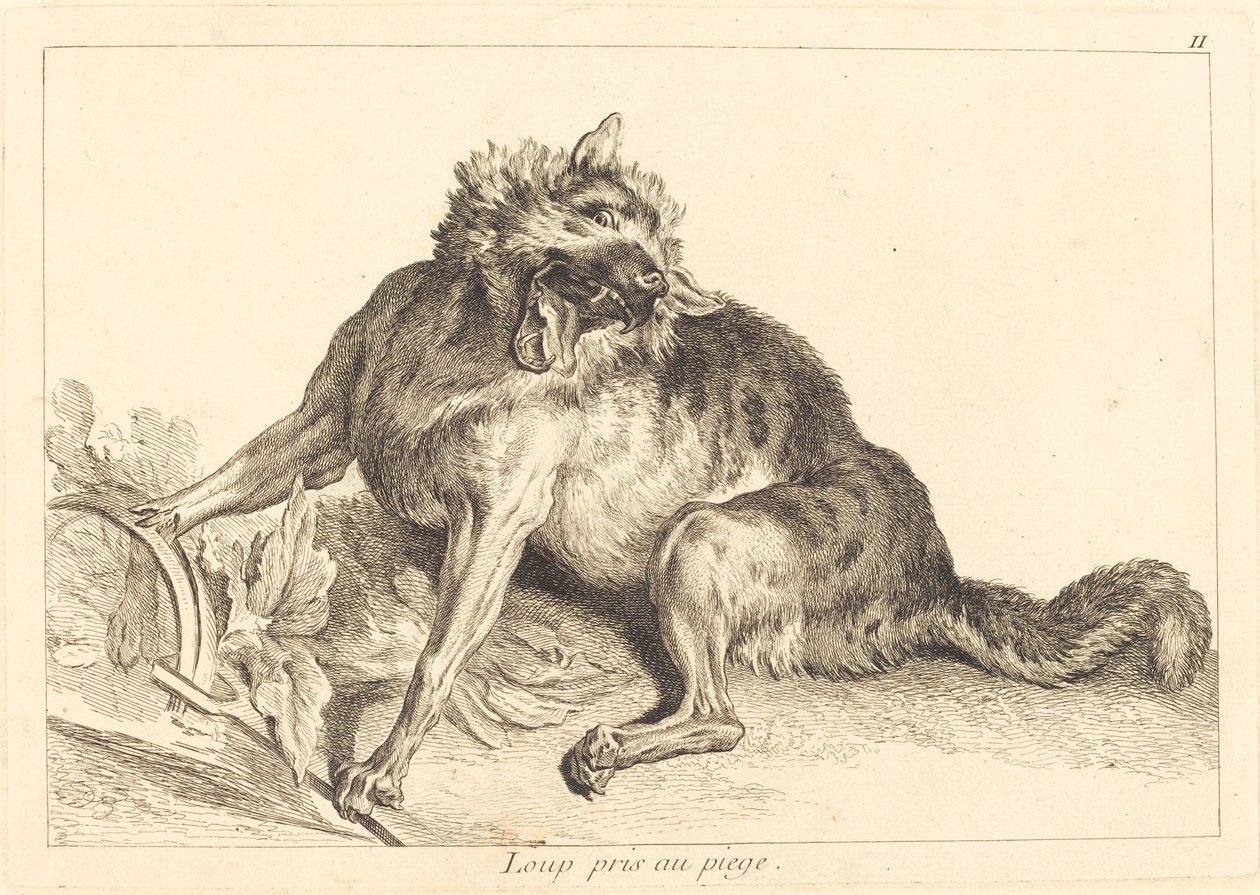 Lobo atrapado en una trampa de Jacques Philippe Le Bas and Jean Eric Rehn after Jean Baptiste Oudry